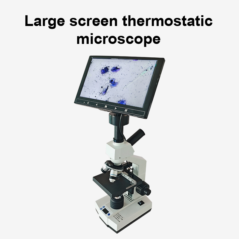 Microscopio termostático de 7 pulgadas y 9 pulgadas