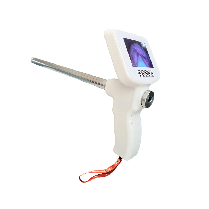 Ashorse Visual AI Insemination Gun (en inglés)